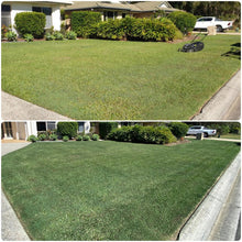 Load image into Gallery viewer, Green Up 2 Pack - Covers up to 600 sqm. Green Up Grass