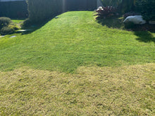 Load image into Gallery viewer, Green Up 2 Pack - Covers up to 600 sqm. Green Up Grass