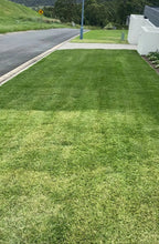 Load image into Gallery viewer, Green Up 2 Pack - Covers up to 600 sqm. Green Up Grass