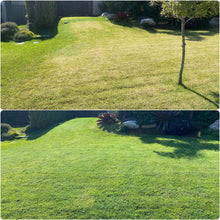 Load image into Gallery viewer, Green Up Colored Fertiliser 1L | Instant Greening for DIY Lawn Care Green Up Grass